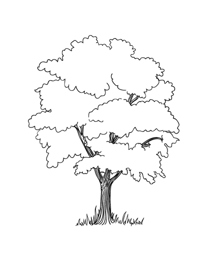 oak tree leaves coloring pages - photo #27