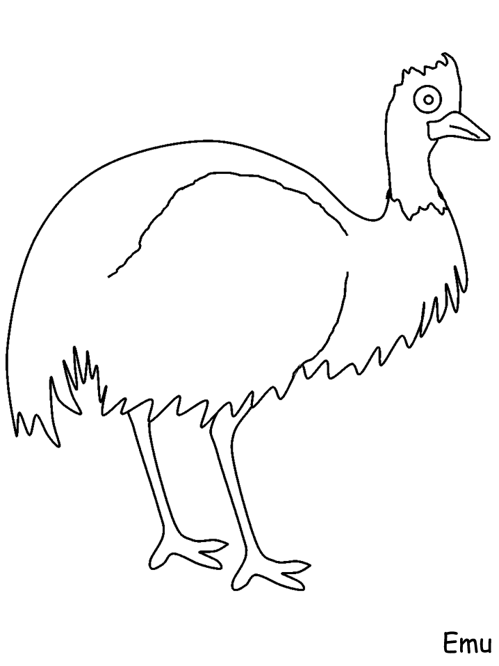 australian bird coloring pages - photo #12