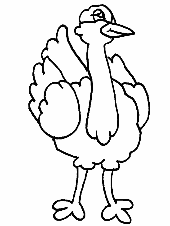 Birds 7 Animals Coloring Pages Book