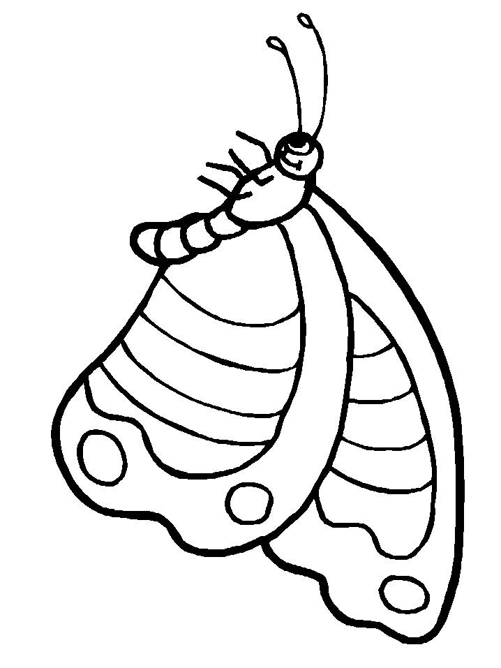 Butterfly 10 Animals Coloring Pages & Coloring Book