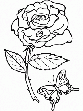 Sports Coloring Sheets on Pages  Flower5 Flowers Coloring Pages  Flower7 Flowers Coloring Pages