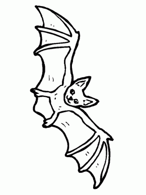  Coloring Pages on Halloween Bat Coloring Pages Bats 10 Animals Coloring Pages Bats 4