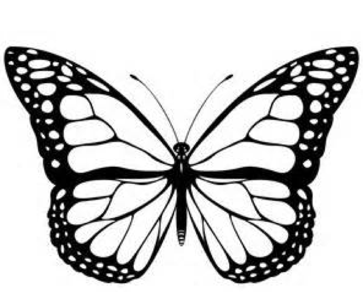 monarch-butterfly-coloring-pages-download-and-print-for-free