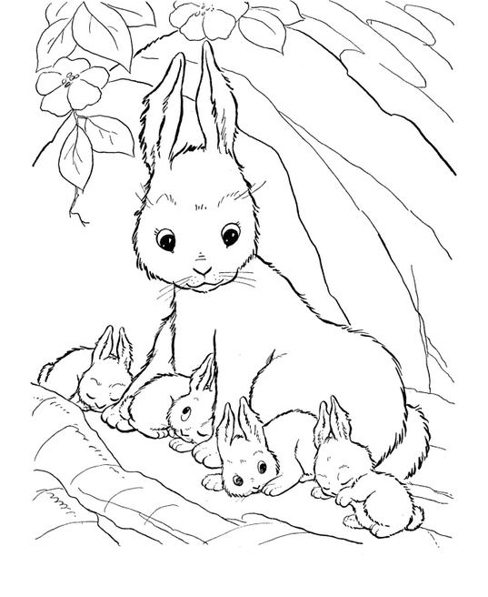 rabbit family coloring pages - photo #1