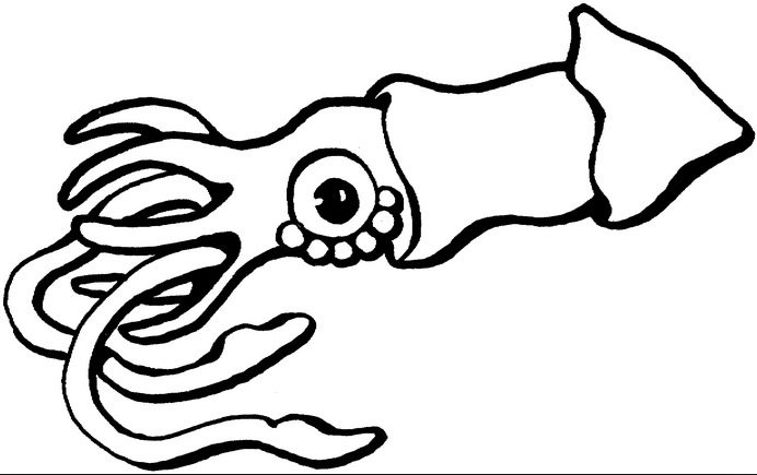 Squid Coloring Page & Coloring Book