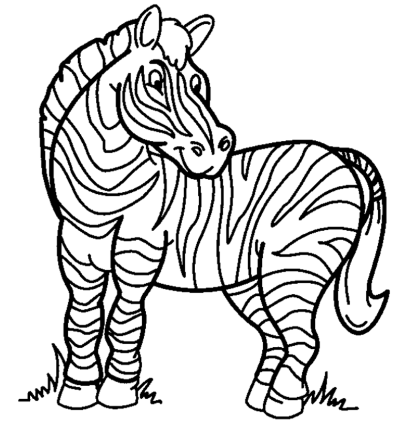 zebra full page coloring pages - photo #5