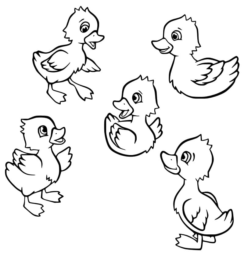5 Little Ducks Coloring Page