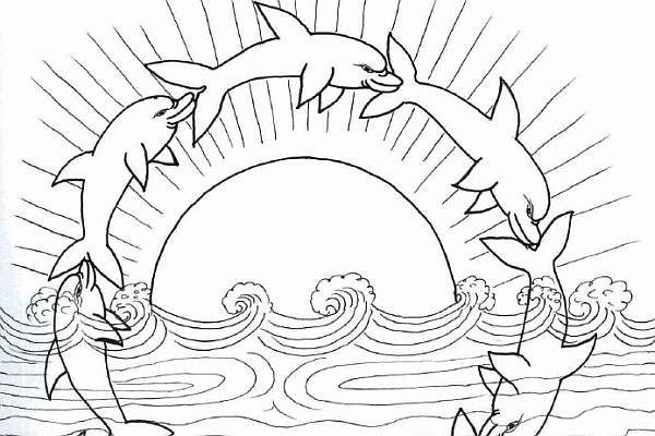 5 dolphins jumping out of the water coloring pages