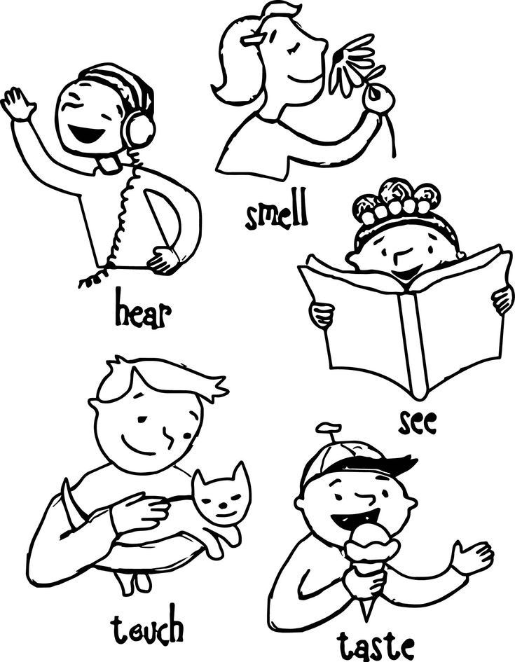 5 Senses Coloring Page