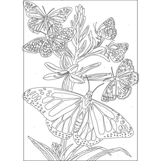 Adult Coloring Pages Animals