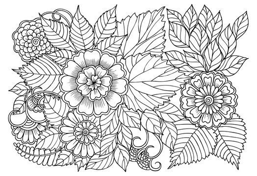 Coloring Pages for Adults Free