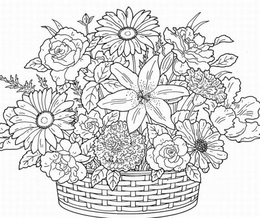 Adult Coloring Pages Free Printables