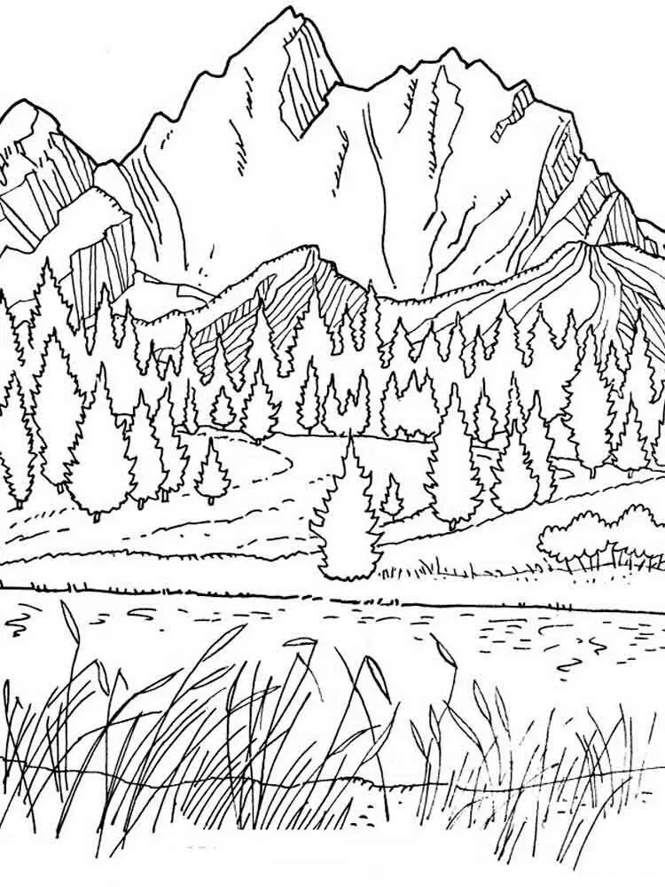 Adult 45 Coloring Pages