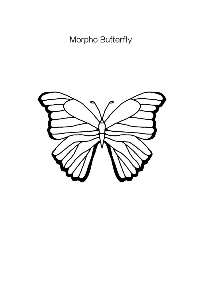 Blue Morpho Butterfly Coloring Pages