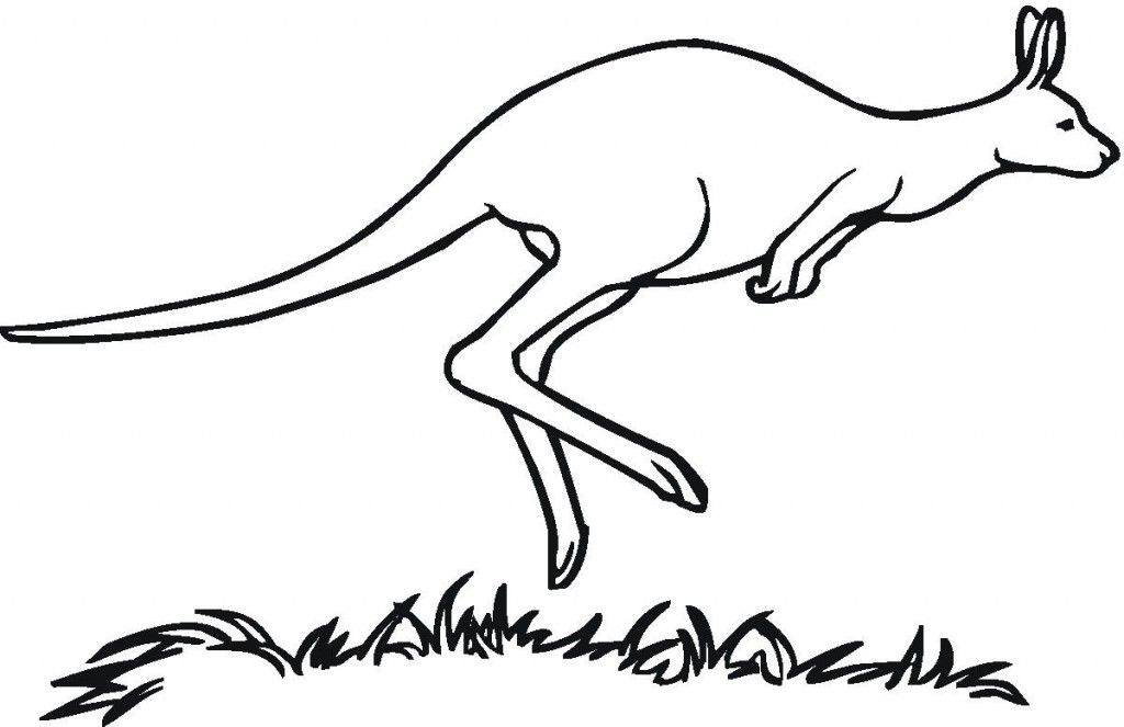 Coloring Page Kangaroo