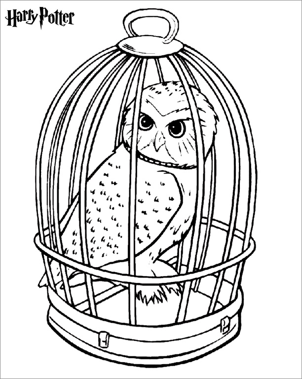 Coloring Pages Harry Potter Free