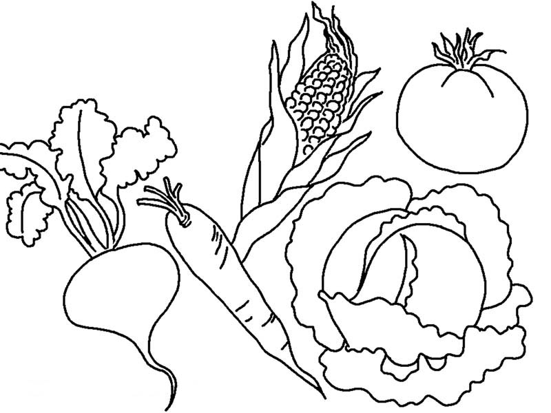 Coloring Pages Vegetables