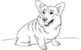 Cowboy Bebop Dog Coloring Pages