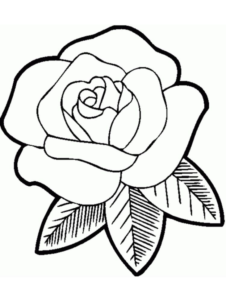 Cute Rose Flower Coloring Pages