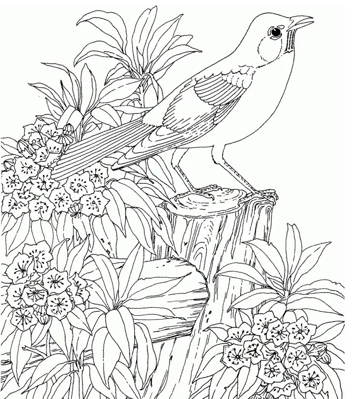 flower-coloring-pages-hard-coloring-book