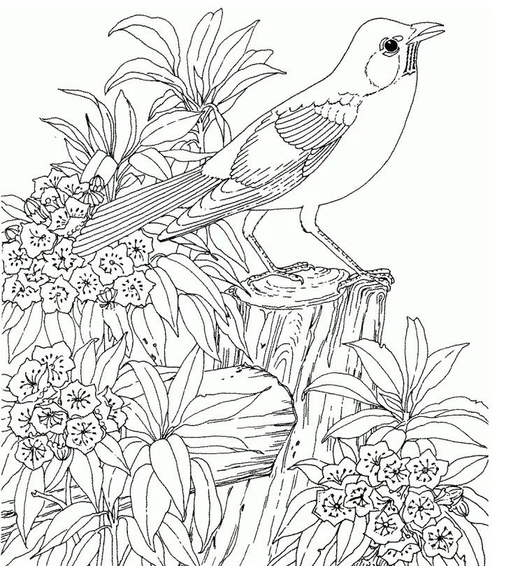 Flower Coloring Pages Hard