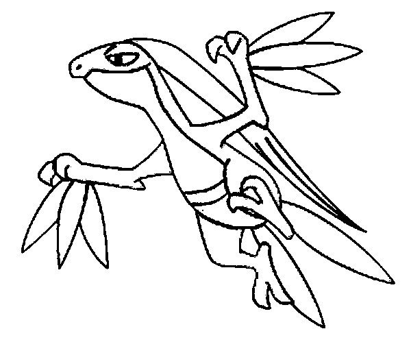 Grovyle Coloring Page