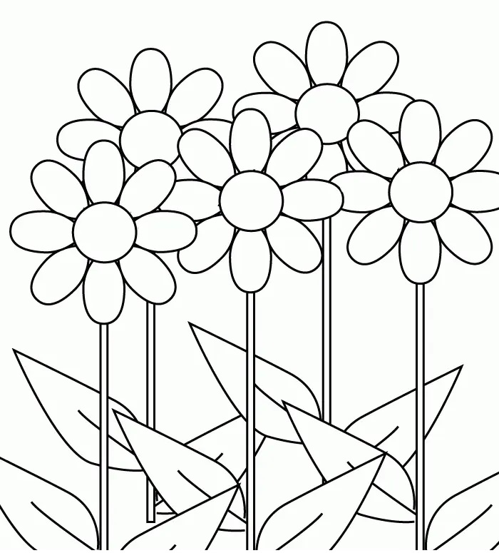 Hard Flower Coloring Pages for Girls 10 and Up