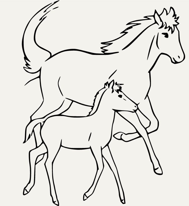 Horse and Baby Running Coloring Pages
