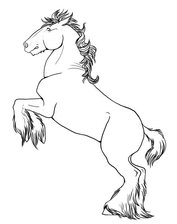 Horse on Back Feet Coloring Pages