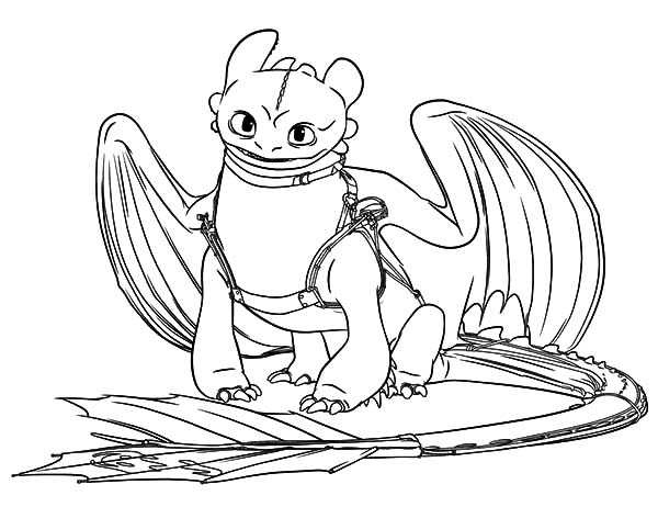 Toothless Coloring Pages