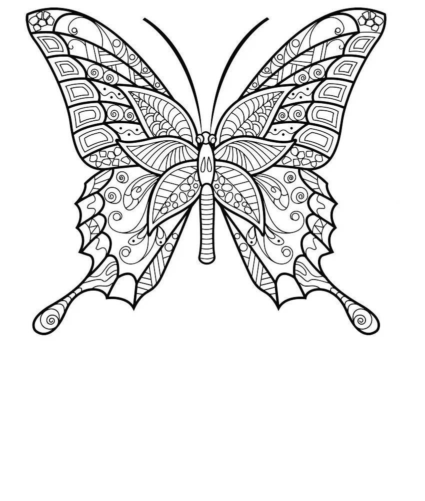 Mandala Butterfly Coloring Pages for Adults