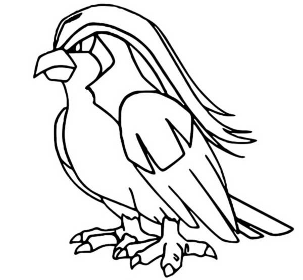 Pidgeot Coloring Page