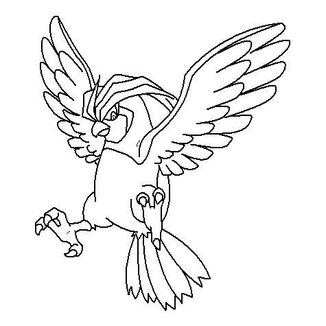 Pidgeotto Coloring Page