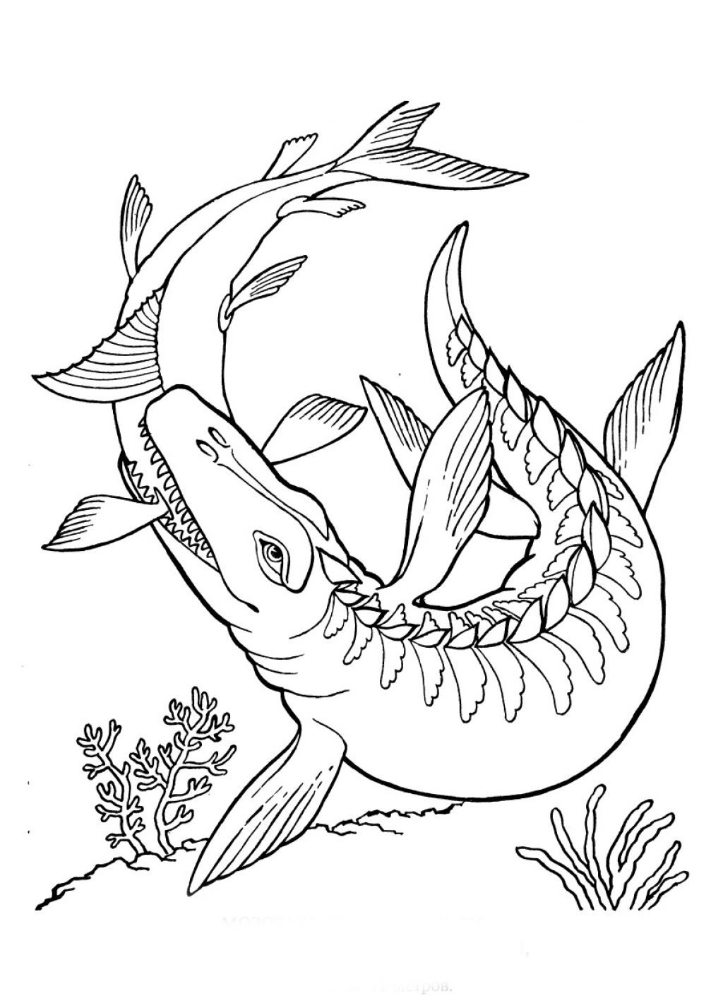 Swimming Dinosaur Coloring Pages