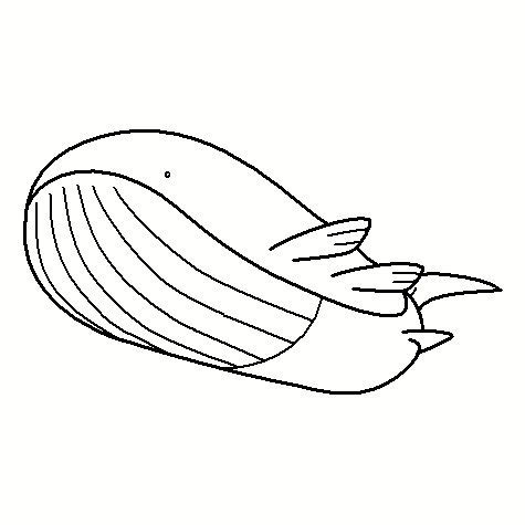 Wailord Coloring Page