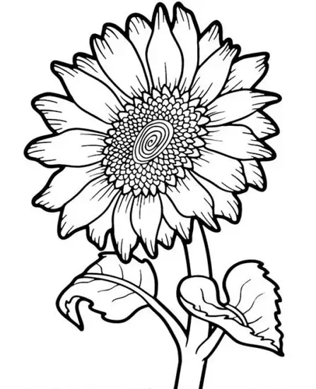 A Flower Coloring Page