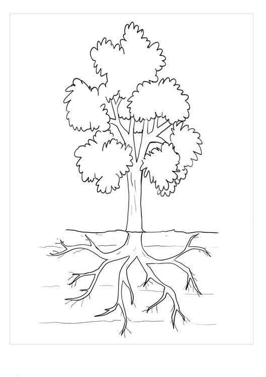 A Tree with Roots by water coloring pages
