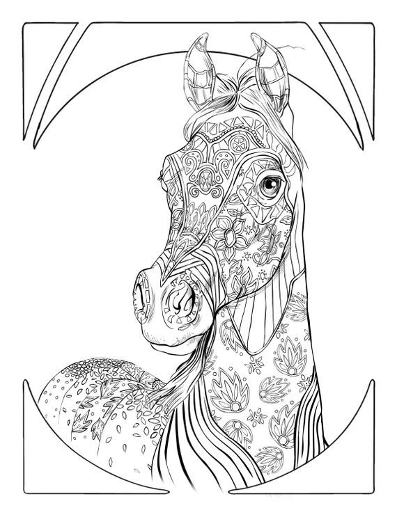 adult animal coloring pages horse