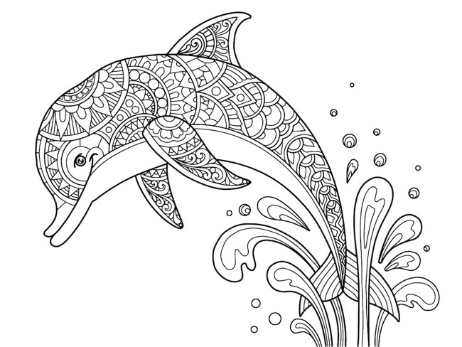 Adult Coloring Page Dolphin