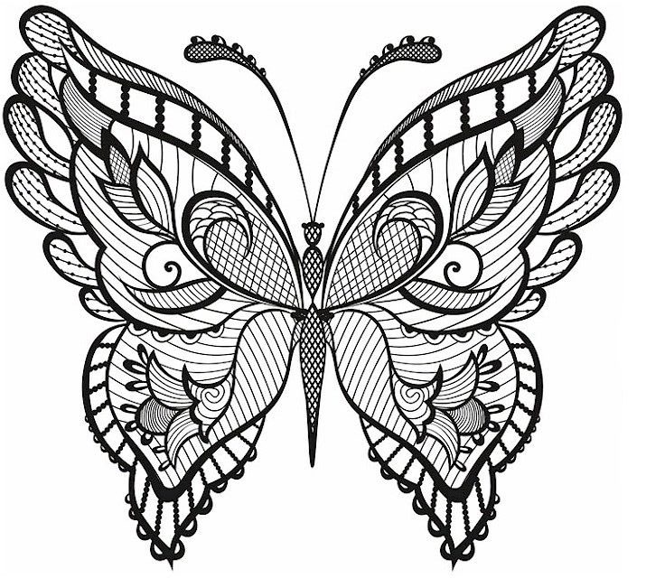 adult coloring pages butterfly