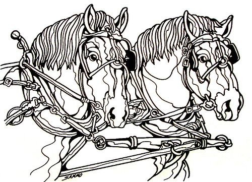 Adult coloring pages draft horse