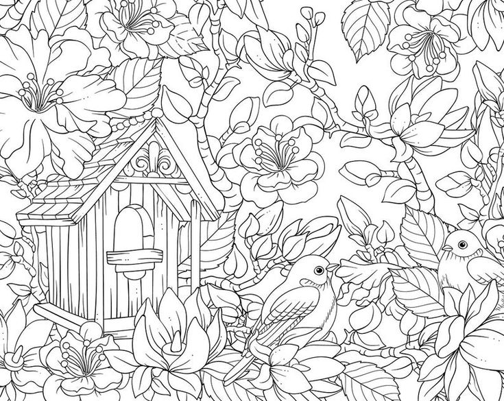 adult coloring pages for water color