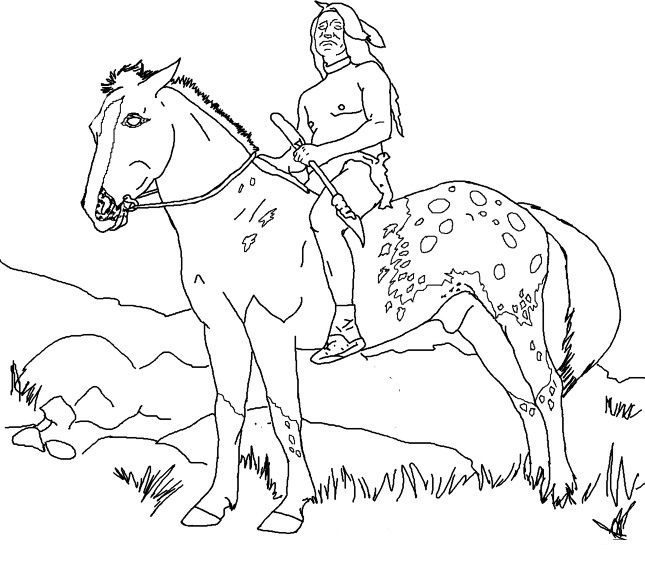 adult coloring pages indian horse