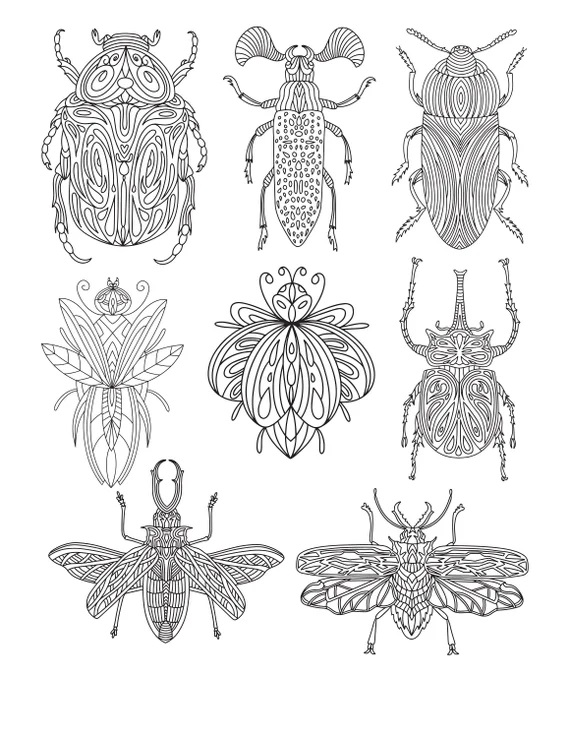 Adult Coloring Pages Insects