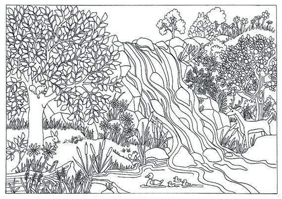 adult coloring pages of trees near water