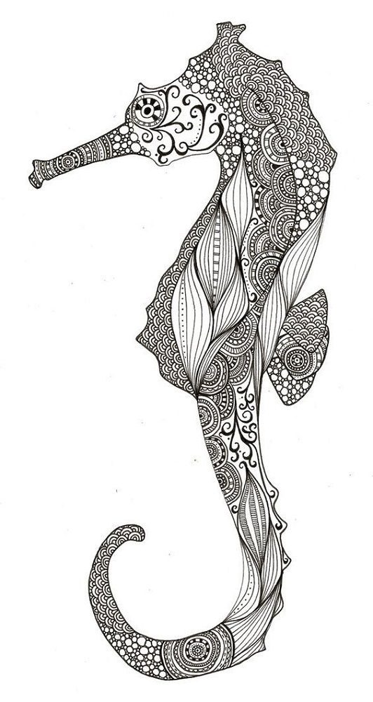 adult coloring pages sea horse finished