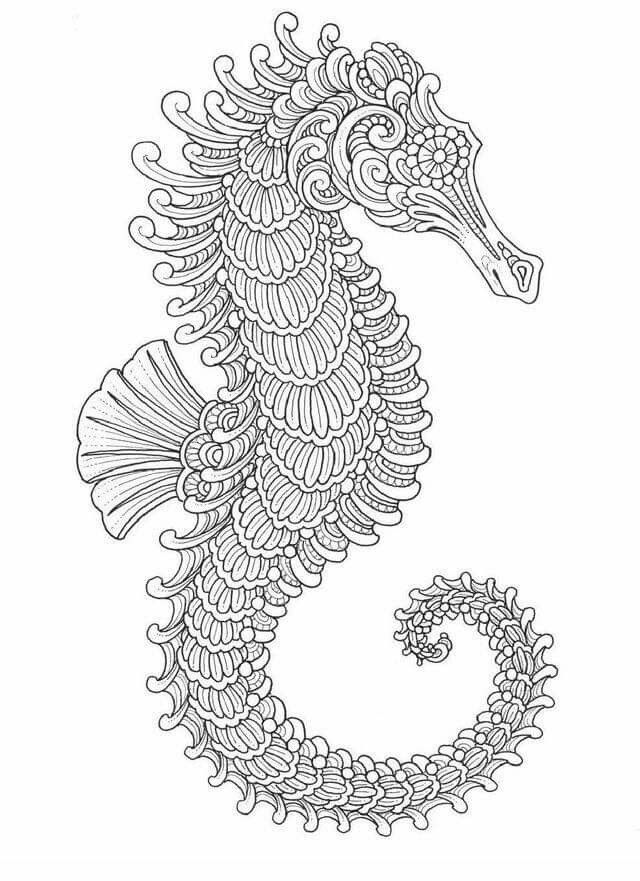 adult coloring pages sea horse