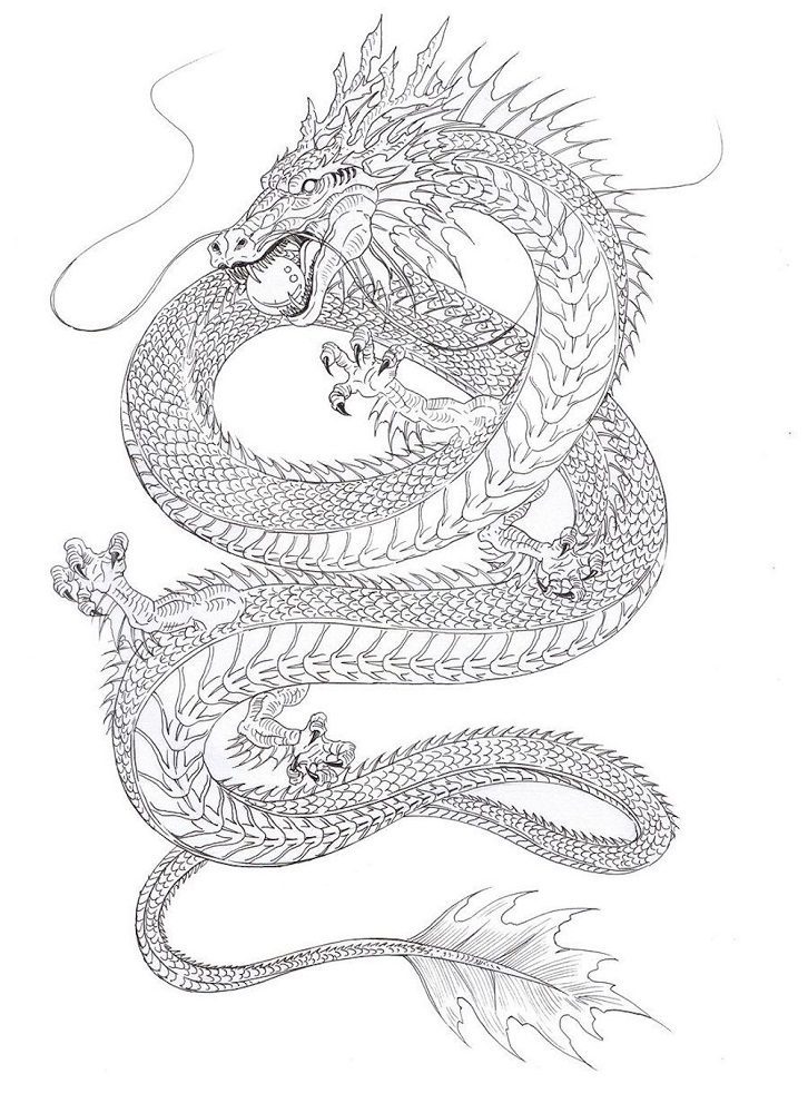 adult coloring pages water dragon