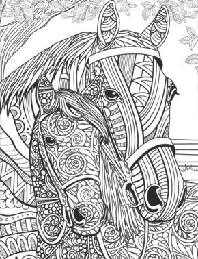 Adult Coloring Pages with Horse &amp; book for kids.