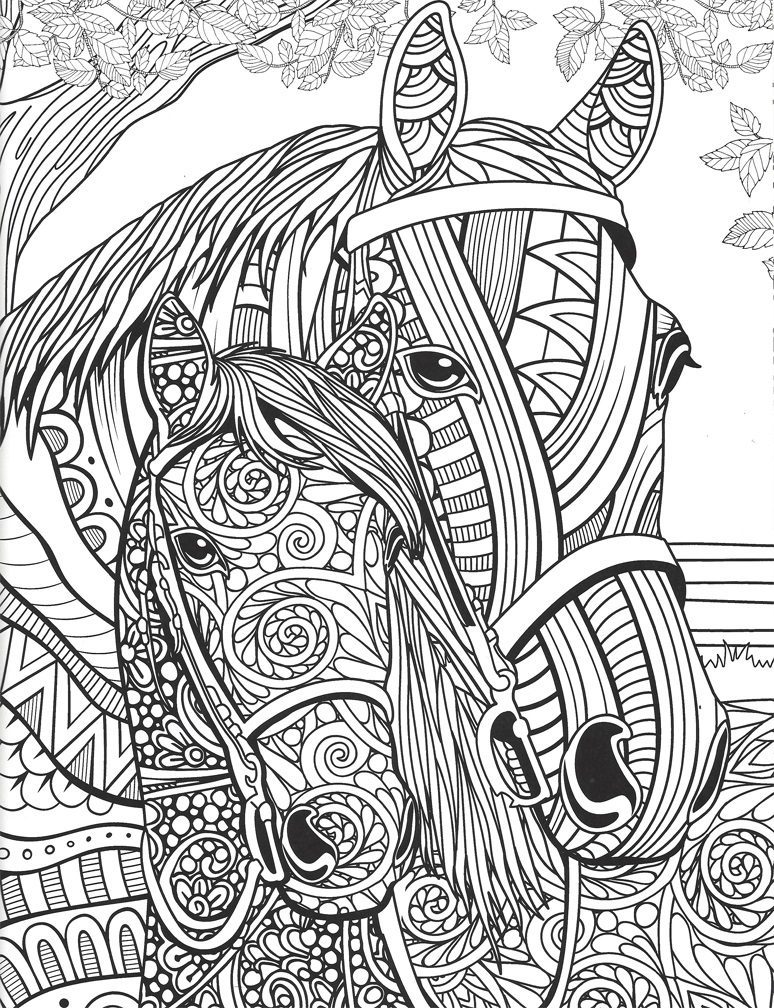 adult coloring pages with horse